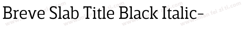 Breve Slab Title Black Italic字体转换